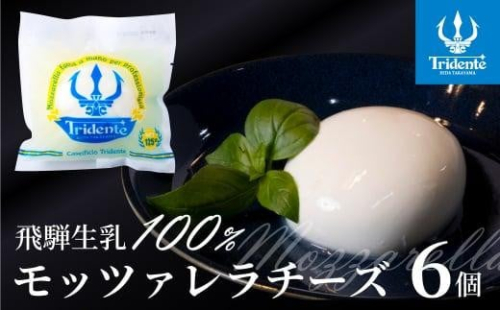 飛騨生乳100％ モッツァレラチーズ 6個（1個125g）| チーズ モッツァレラ 冷蔵  個包装 カプレーゼ パスタ ピザ  前菜 サラダ 新鮮 生乳 国産 低温殺菌 乳製品 無添加 飛騨高山 トリデンテ リアライン  LF003