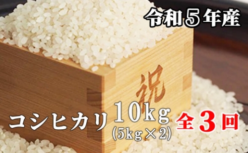 【3回定期便】白米 10kg 令和5年産 コシヒカリ 岡山 「おおがや米」生産組合 G-ag-BCZA