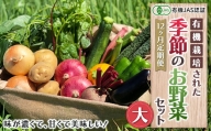 《有機JAS認証》オーガニック 季節のお野菜セット（大）定期便 12ヶ月連続 F21R-868