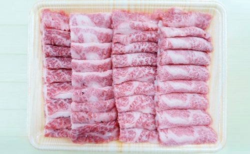 A5等級飛騨牛バラ肉カルビ焼き肉用500g 59920 - 岐阜県瑞穂市