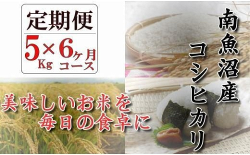 令和５年産【頒布会】南魚沼産コシヒカリ「八龍の尾」５ｋｇ×全６回