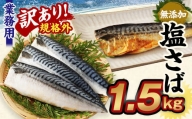 【訳あり規格外】 業務用無添加塩さば 1.2kg 鯖 さば 塩サバ 干物 魚