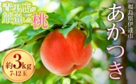 福島の桃 青果店が厳選した桃 あかつき約3kg（7～12玉） 先行予約 フルーツ 果物 もも モモ momo F20C-667