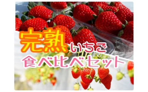 完熟いちご 食べ比べセット 紅ほっぺ 章姫 約250ｇ 2パック 計約500ｇ 愛知県豊橋市 Au Pay ふるさと納税
