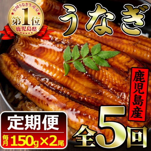 【50666】地下水で育てた 鹿児島産 特上うなぎ 2尾×5回定期便
