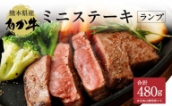 熊本県産 あか牛 ミニ ステーキ 480g ランプ 牛肉