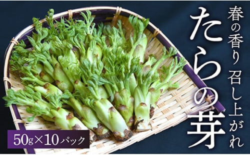 015-029 最上町産たらの芽 600482 - 山形県最上町