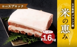 【ふるさと納税】大分県産ブランド豚「米の恵み」ロースブロック 1.6kg (1.6kg×1) 豚肉