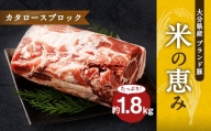 大分県産ブランド豚「米の恵み」カタロースブロック 1.8kg (1.8kg×1) 豚肉 肩ロース