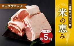 【ふるさと納税】大分県産ブランド豚「米の恵み」ロースブロック 5.0kg (2.5kg×2) 豚ロース 豚肉