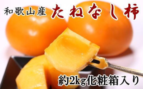 ［秋の味覚］和歌山産たねなし柿2L～4Lサイズ 約2kg（化粧箱入り）★2026年9月中旬頃より順次発送［TM39］ 600944 - 和歌山県那智勝浦町