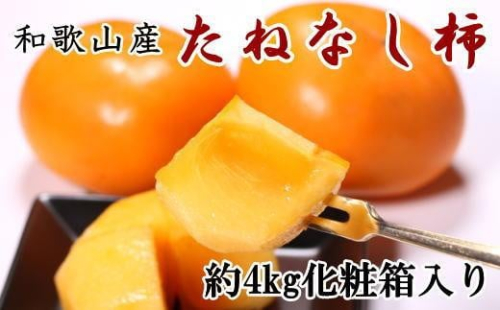 【秋の味覚】和歌山産たねなし柿2L～4Lサイズ約4kg（化粧箱入り）★2026年10月頃より順次発送［TM192］ 600945 - 和歌山県那智勝浦町
