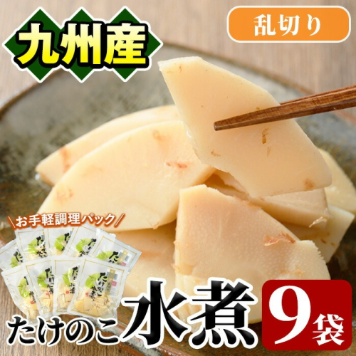 たけのこ水煮乱切り(計630g・70g×9袋)国産 九州産 筍 野菜 使い切り 小分け 個包装【上野食品】akn008-14 601182 - 鹿児島県阿久根市