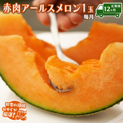 【定期便】 赤肉 アールスメロン 毎月1個 × 12か月 田舎の頑固おやじが厳選！ メロン アールスメロン 赤肉  ギフト 高糖度 定期便 赤肉メロン 甘い 美味しい フルーツ [BI280-NT] 601649 - 茨城県つくばみらい市