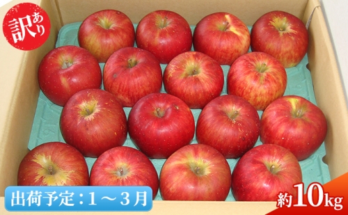 1～3月 ジュース屋さんの訳あり サンふじ 約10kg【青森りんご・青森県平川市産・1月・2月・3月】 601671 - 青森県平川市