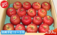1～3月 ジュース屋さんの訳あり サンふじ 約10kg【青森りんご・青森県平川市産・1月・2月・3月】