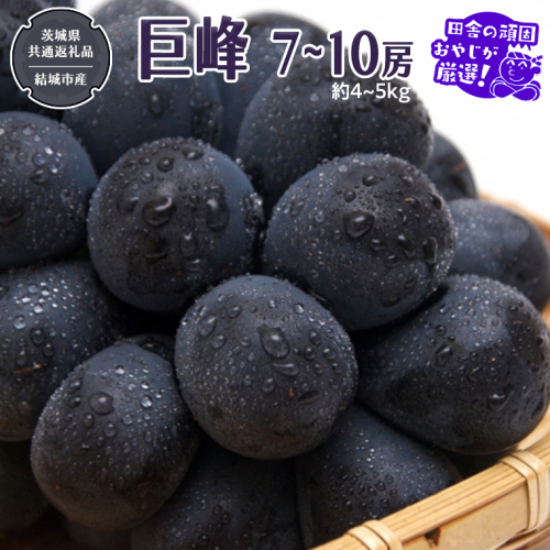 巨峰 約4～5kg 7～10房 【2026年8月より発送開始】（茨城県共通返礼品 [ぶどう]：結城市産）田舎の頑固おやじが厳選！  ぶどう ブドウ 葡萄 高糖度 大粒 甘い 美味しい フルーツ [BI293-NT] 601753 - 茨城県つくばみらい市