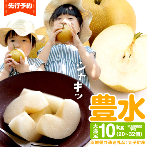 梨 豊水 約10kg 20～32個【2026年9月より発送開始】（茨城県共通返礼品 [梨]：大子町産）田舎の頑固おやじが厳選！ 梨 豊水 高糖度 ギフト 甘い 美味しい フルーツ デザート [BI305-NT] 601759 - 茨城県つくばみらい市