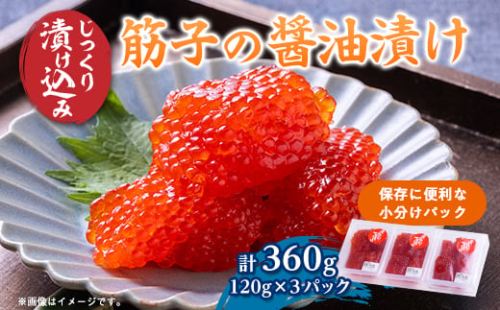 ポートの活き造り一夜漬け  360g(120g×3パック)_ 筋子 醤油漬け 一夜漬け 活き作り 人気 おすすめ 送料無料 贈答 ギフト 海鮮 小分け 青森 【1372224】