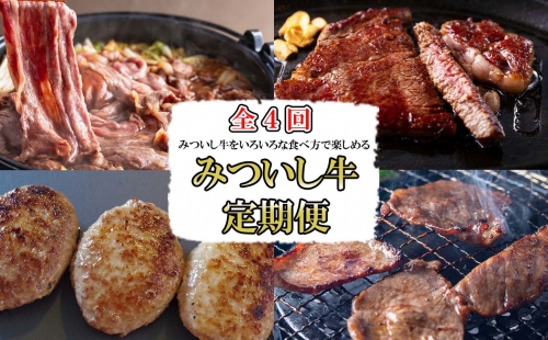 ＜定期便４回＞ 北海道産 黒毛和牛 みついし牛 定期便 602053 - 北海道新ひだか町