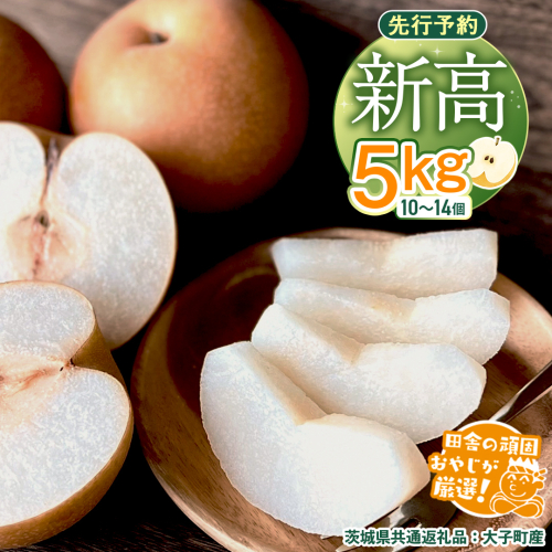 梨 新高 5kg（10〜14個）【2026年10月より発送開始】（茨城県共通返礼品 [梨]：大子町産）田舎の頑固おやじが厳選！ なし 新高梨 和梨 フルーツ 果物 くだもの 高糖度 ギフト 茨城 [BI306-NT] 602060 - 茨城県つくばみらい市