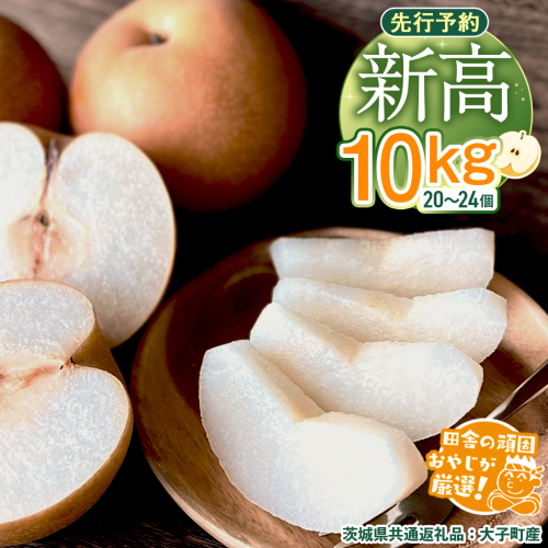 梨 新高 10kg（20～26個）【2026年10月より発送開始】（茨城県共通返礼品 [梨]：大子町産）田舎の頑固おやじが厳選！ なし 新高梨 和梨 フルーツ 果物 くだもの 高糖度 ギフト 茨城 [BI307-NT] 602070 - 茨城県つくばみらい市