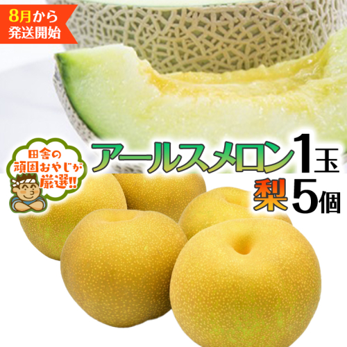アールスメロン 1個 梨5個 【8月発送開始】田舎の頑固おやじが厳選！ メロン 高糖度 美味しい 甘い フルーツ [BI318-NT] 602084 - 茨城県つくばみらい市
