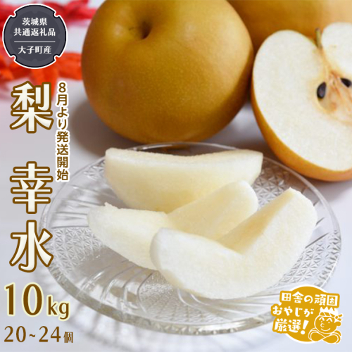 梨 幸水 10kg（20～24個 ）【2026年8月より発送開始】（茨城県共通返礼品 [梨]：大子町産）田舎の頑固おやじが厳選！ 梨 幸水 高糖度 ギフト 甘い フルーツ 美味しい デザート [BI303-NT] 602185 - 茨城県つくばみらい市