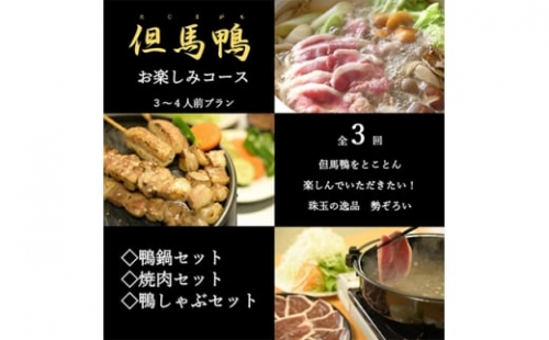 2023年3月発送開始『定期便』兵庫県産「但馬鴨」お楽しみコース　3～4人前全3回【5110127】 602211 - 兵庫県新温泉町