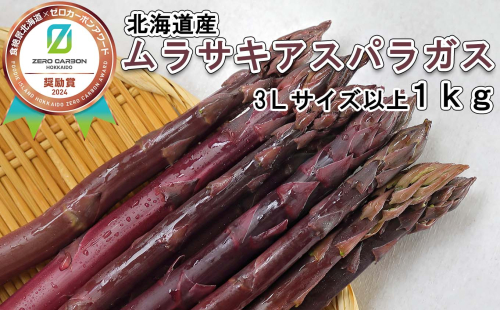 ＜6月15日までの受付＞ 北海道産 春採り ムラサキ アスパラガス 1kg 3Lサイズ 以上 ＜2025年4月中旬より発送＞ 602264 - 北海道新ひだか町
