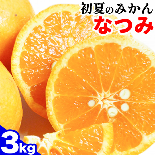 ＜先行予約＞初夏のみかん なつみ 約 3kg 株式会社魚鶴商店《2025年4月中旬-5月上旬頃出荷》 和歌山県 日高町 みかん なつみ 南津海 柑橘 果物 フルーツ 送料無料 602271 - 和歌山県日高町