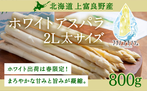 先行予約 【 2026年 発送 ！】 北海道 上富良野産 ホワイトアスパラガス 2L サイズ 800g アスパラ ホワイト アスパラガス 上富良野町 令和7年発送 野菜 やさい  602337 - 北海道上富良野町