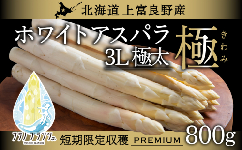 先行予約 【 2026年 発送 ！】北海道 上富良野産 ホワイトアスパラガス 3L サイズ 800g アスパラ ホワイトアスパラ 上富良野町 令和6年発送 先行受付 野菜 やさい  602339 - 北海道上富良野町