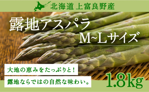 先行予約 【 2026年 発送 ！】北海道 上富良野産 露地 グリーン アスパラガス L,Mサイズ 1.8kg アスパラ グリーンアスパラ 上富良野町 令和7年発送 野菜 やさい  602341 - 北海道上富良野町