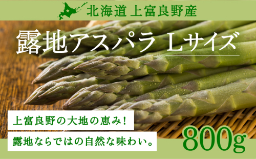 【令和8年産】先行予約 北海道 上富良野産 露地 グリーン アスパラガス Lサイズ 800g アスパラ グリーンアスパラ 上富良野町 令和7年発送 野菜 やさい  602342 - 北海道上富良野町