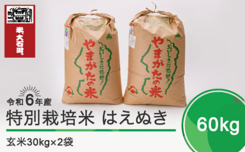 令和5年6月下旬発送 はえぬき60㎏ 玄米 令和4年産 602434 - 山形県大石田町