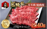【福井のブランド牛肉】若狭牛モモ肉 焼肉用 540g(270g×2パック)【4等級以上】