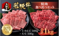 【福井のブランド牛肉】若狭牛焼肉食べ比べセット  1kg(上カルビ500g×1パック・モモ500g×1パック)【4等級以上】