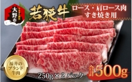 【福井のブランド牛肉】若狭牛ロース・肩ロース肉 すき焼き用  500g(250g×2パック)【4等級以上】