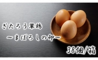 【10-293】幻の卵　ぎたろう軍鶏の生みたてたまご38個