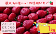 【たっぷり最大3品種ミックス】お徳用いちご(1kg超入り)※本州限定 果物類 フルーツ 果物