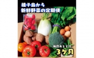 ３か月定期便・種子島の新鮮 野菜と果物７～１０品と鶏卵セット　990pt　NFN475
