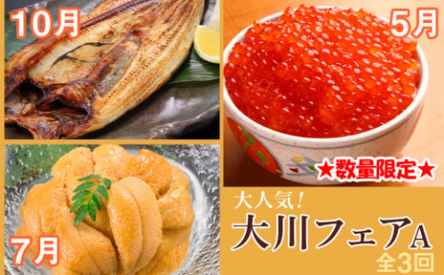数量限定！ 大人気！大川フェアA（全3回）【大川商店】