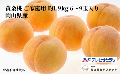 桃 2024年 先行予約 岡山 黄金桃 ご家庭用 約1.9kg 6～9玉入り もも モモ 岡山県産 国産 フルーツ 果物 直送！せとうちバスケット 603313 - 岡山県里庄町