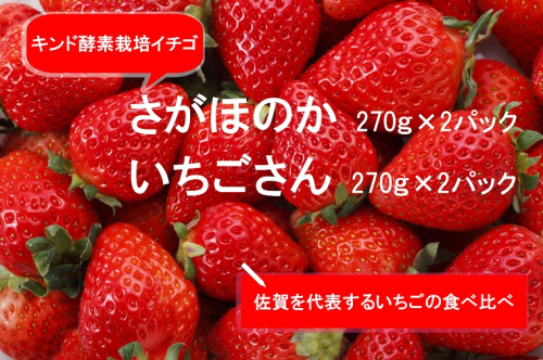 AE028_あま～い！！キンド酵素栽培いちご 【さがほのか２７０ｇ×２パック・いちごさん２７０ｇ×２パック】数量限定！！ 603388 - 佐賀県みやき町