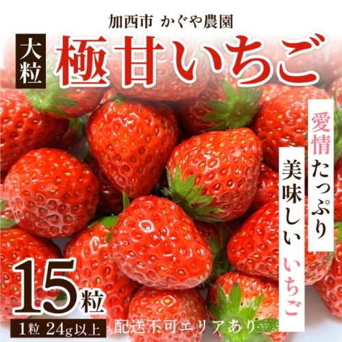 かぐや農園の極甘 いちご 大粒 15粒 603402 - 兵庫県加西市