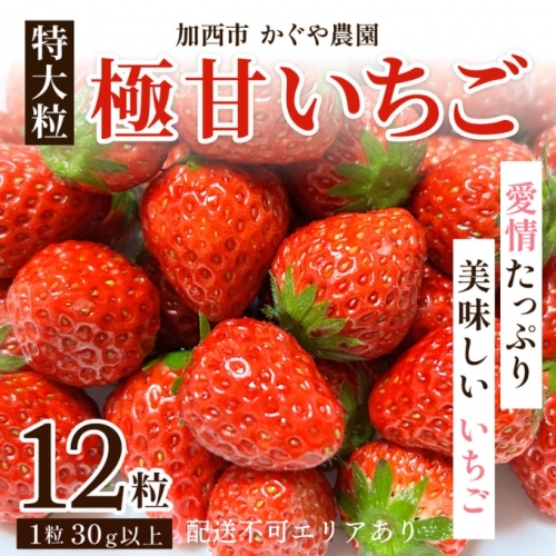 かぐや農園の極甘 いちご 特大粒 12粒 603403 - 兵庫県加西市
