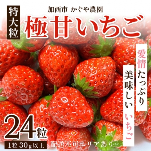 かぐや農園の極甘 いちご 特大粒 24粒 603404 - 兵庫県加西市