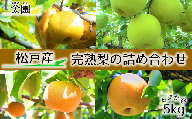 CM005 【山太園】 松戸の完熟梨 品種おまかせ 5kg