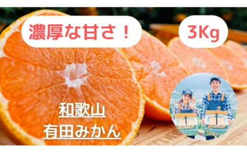 【農家直送】濃厚な甘さの早生みかん3kg/【厳選小みかん】みかんのみっちゃん農園 603689 - 和歌山県有田川町